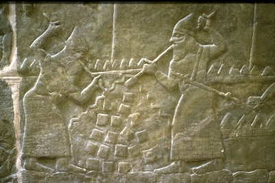 sapiori