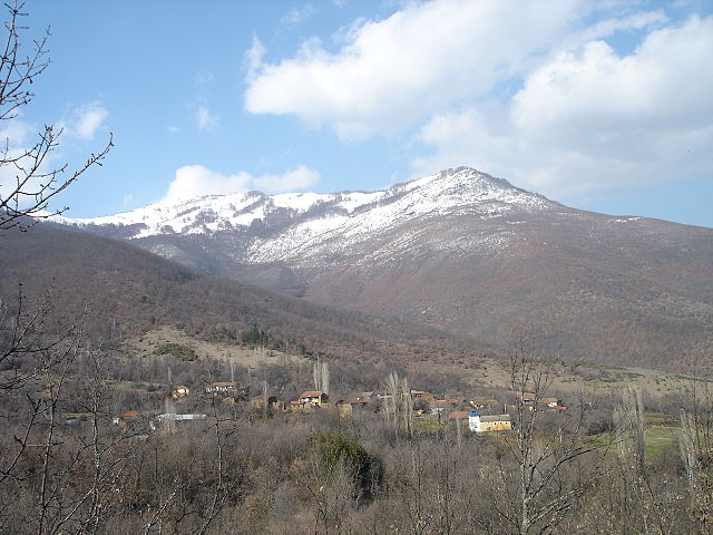 Margari MK