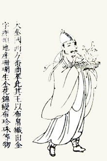 Daqin in Sancai Tuhui