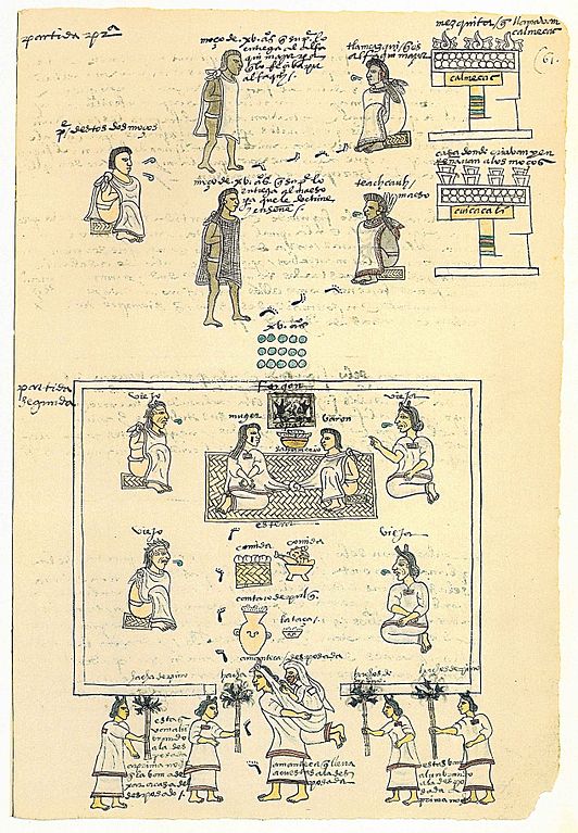532px Codex Mendoza folio 61r