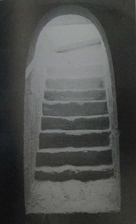 fig8