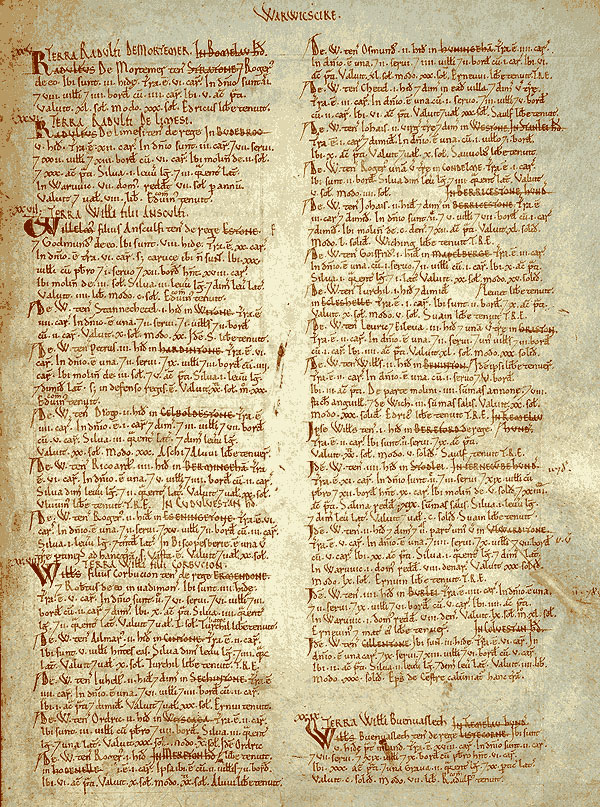 Domesday book w