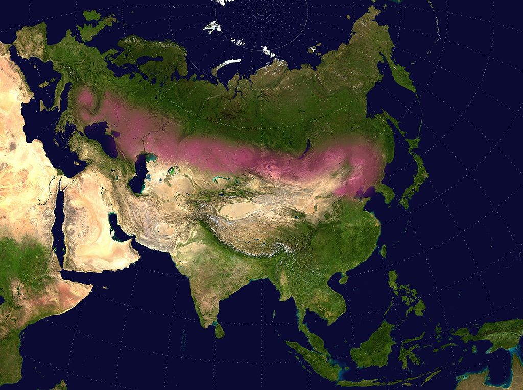 1024px Eurasian steppe belt